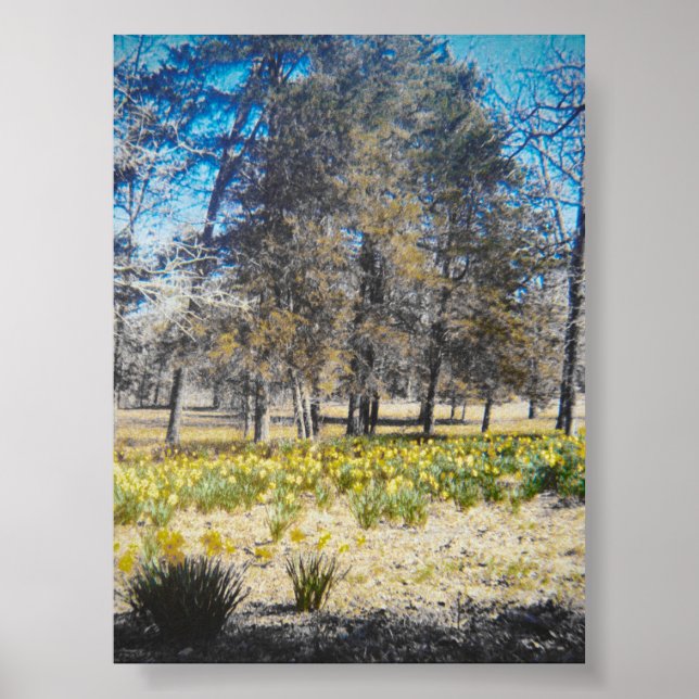 Vintage Daffodil Forest Poster (Framsidan)