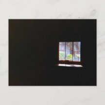 Vintage Daffodil Window vycard