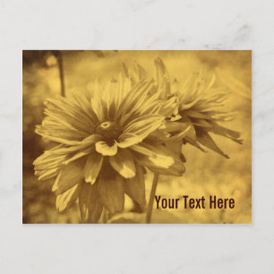 Vintage Daisy Flowers Anpassade vykort