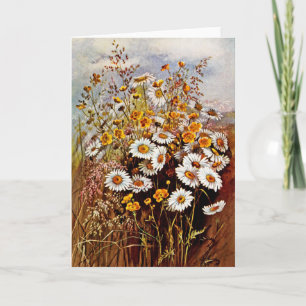 Vintage Daisy Smörblomma Vildblommor Helgkort