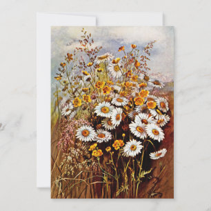 Vintage Daisy Smörblomma Vildblommor Julkort