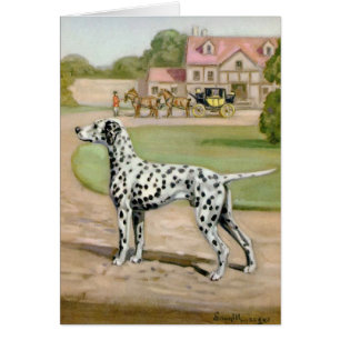 Vintage - Dalmatian hund & vagn, Hälsningskort