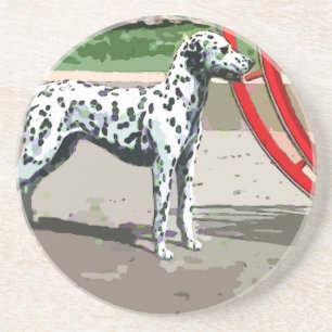Vintage Dalmatian Sandstone Underlägg