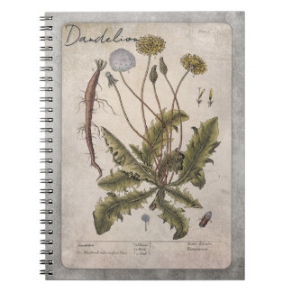 Vintage Dandelion Botanical Illustration Anteckningsbok