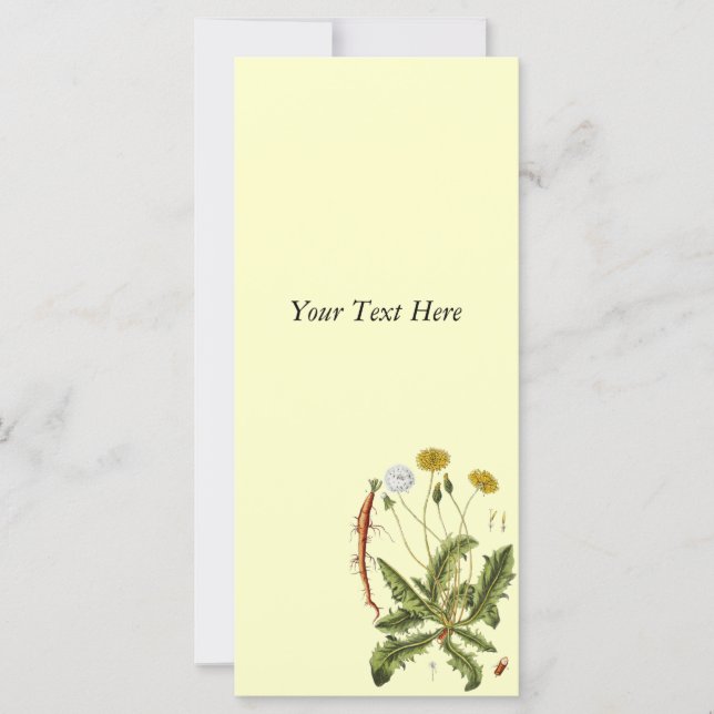 Vintage Dandelion Illustration (Framsida)