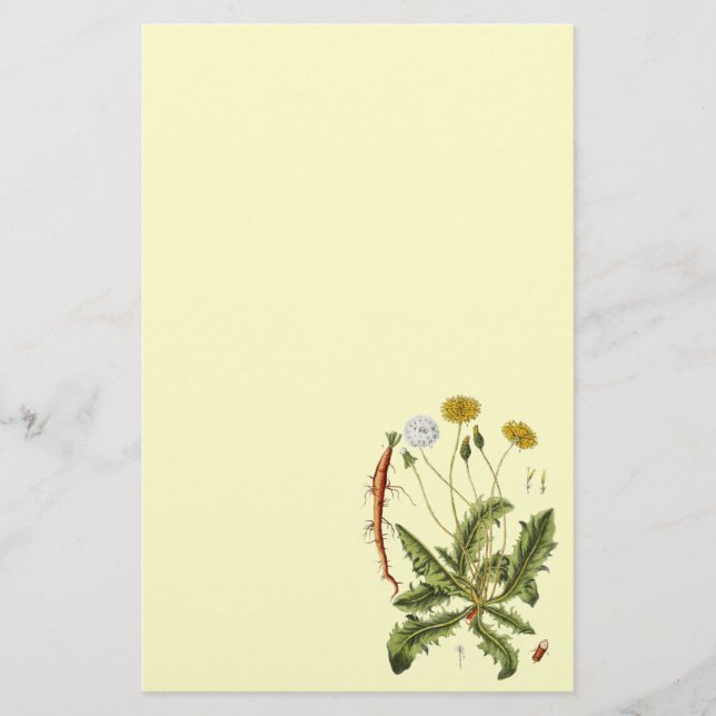 Vintage Dandelion Illustration Brevpapper (Framsida)
