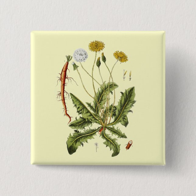 Vintage Dandelion Illustration Knapp (Framsida)