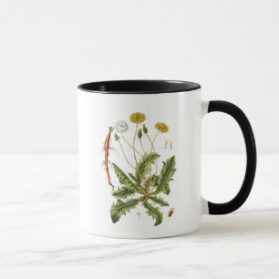 Vintage Dandelion Illustration Mugg
