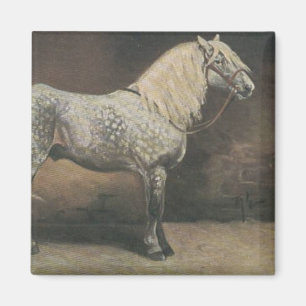Vintage Dapple Grått Magnet