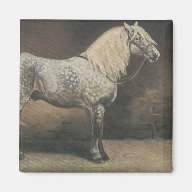 Vintage Dapple Grått Magnet (Framsidan)