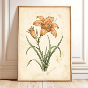 Vintage Daylily Botanisk Canvas Konsttryck Poster