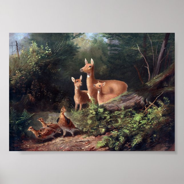 Vintage Deer Illustration Poster (Framsidan)