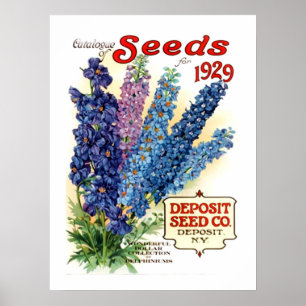 Vintage Delphiniums Seed Packet Poster