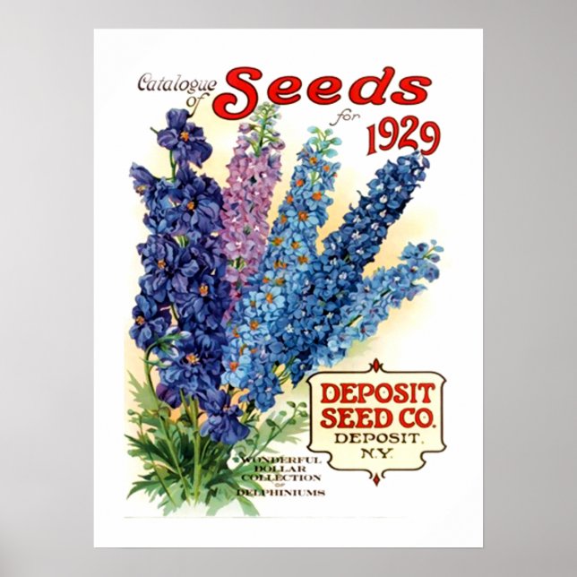 Vintage Delphiniums Seed Packet Poster (Framsidan)