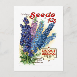 Vintage Delphiniums Seed Packet Vykort