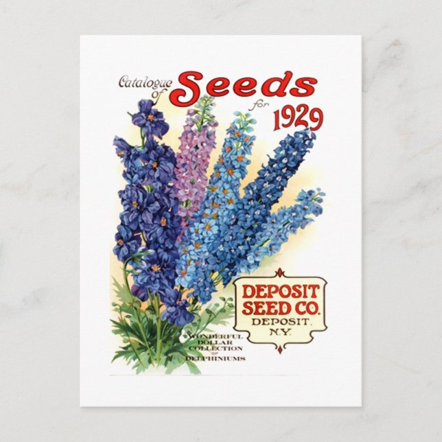 Vintage Delphiniums Seed Packet Vykort (Framsida)