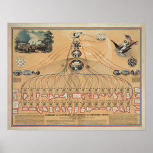 Vintage Diagram över den federala regeringen Poster
