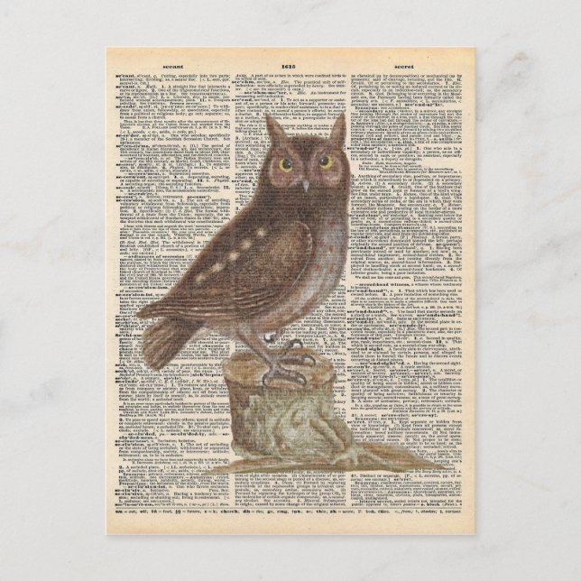 Vintage Dictionary Art Brown Uggla Bird Vykort (Framsida)