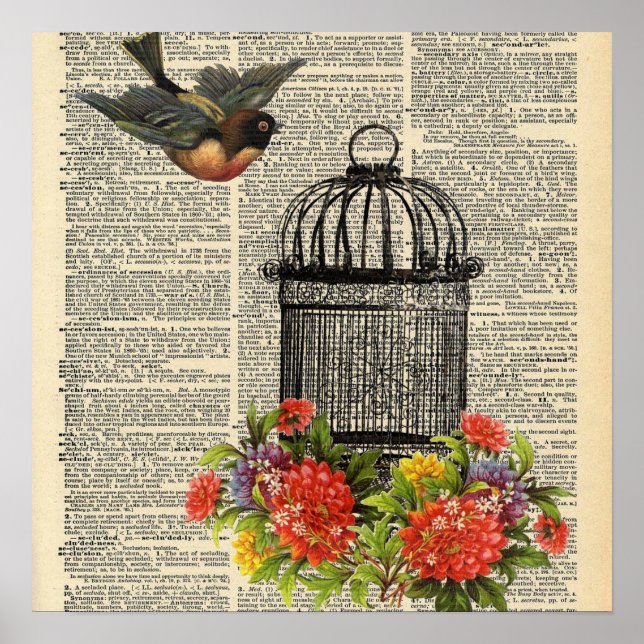 Vintage Dictionary Bird Cage Poster (Framsidan)