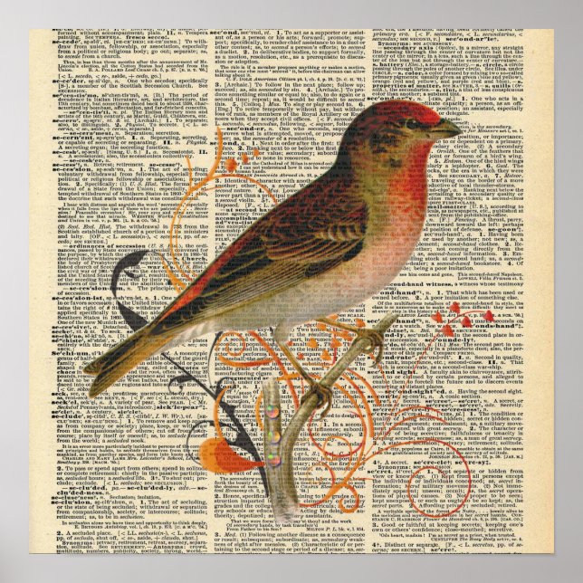 Vintage Dictionary Bird Poster (Framsidan)