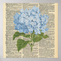 Vintage Dictionary Blue Hydrangea Flower Poster