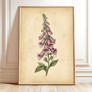 Vintage Digitalis Blommig Inramad Konst Poster