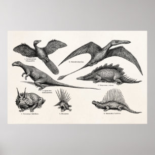 Vintage Dinosaur Illustration Retro Dinosaurs Poster