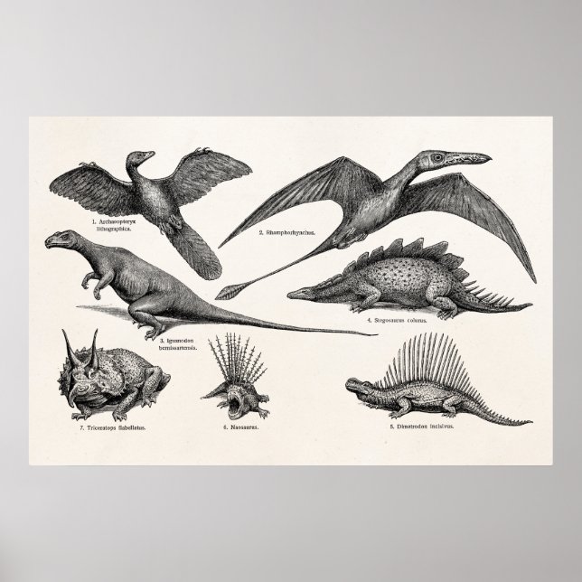Vintage Dinosaur Illustration Retro Dinosaurs Poster (Framsidan)