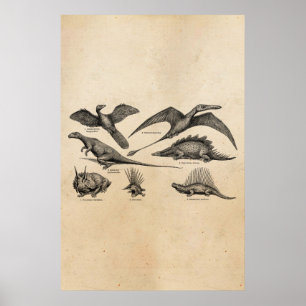 Vintage Dinosaur Illustration Retro Dinosaurs Poster