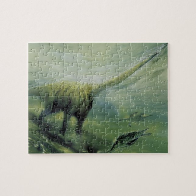 Vintage dinosaurier, Brachiosaurus som simmar i ha Pussel (Horisontell)