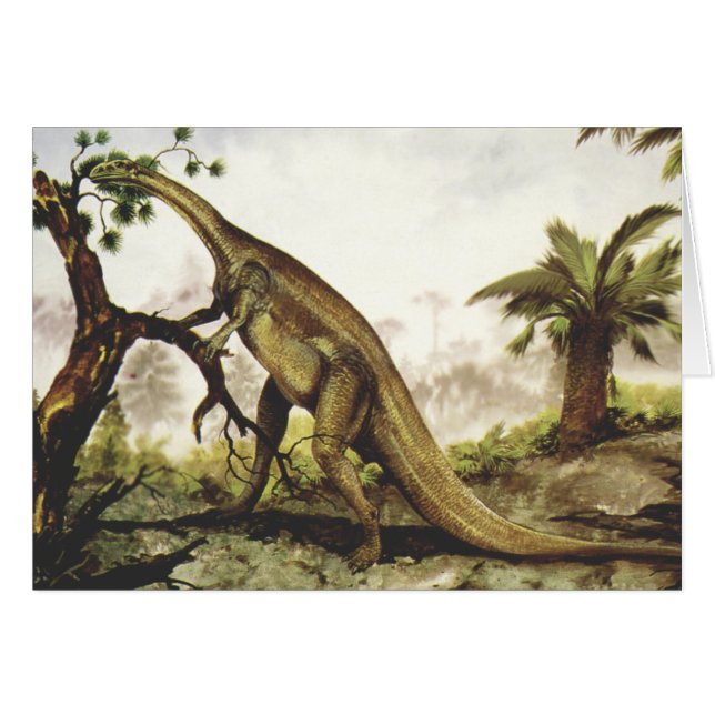 Vintage dinosaurier, Plateosaurus som betar på trä Hälsningskort (Framsidan Horizontal)