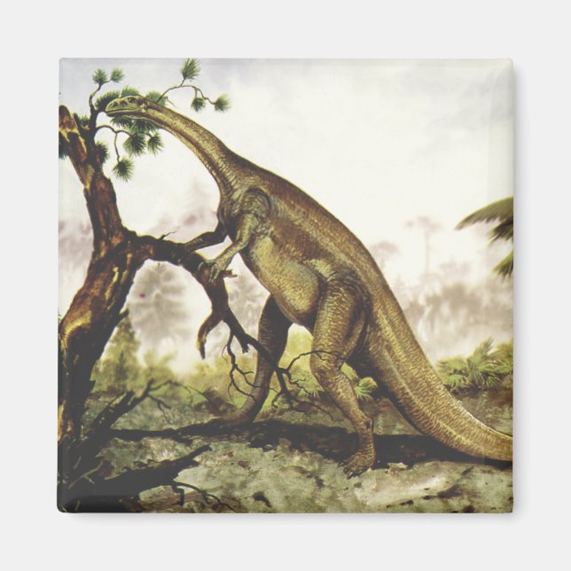 Vintage dinosaurier, Plateosaurus som betar på trä Magnet (Framsidan)