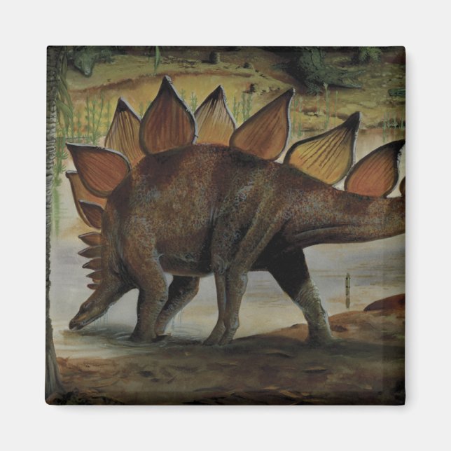 Vintage dinosaurier, Stegosaurus, svans med taggar Magnet (Framsidan)