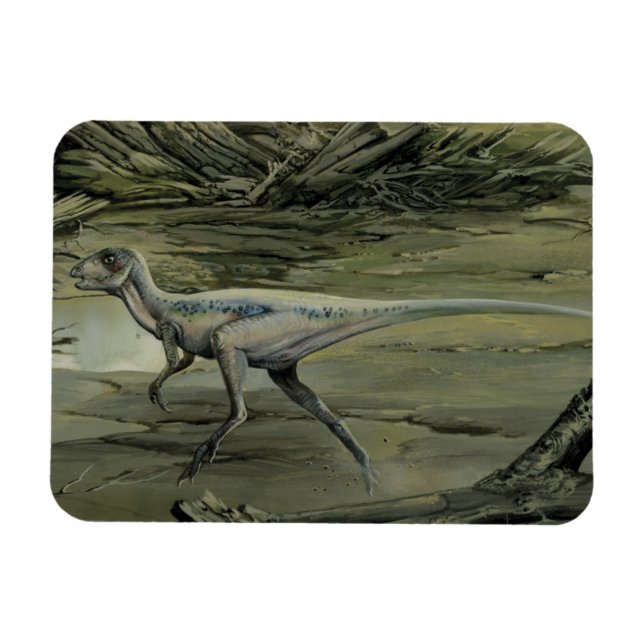 Vintage Dinosaurs, en retakant hypsilofodon Magnet (Horisontell)