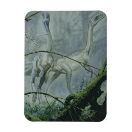 Vintage Dinosaurs, Megapnosaurus aka Syntarsus Magnet