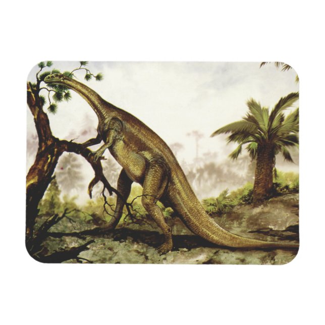 Vintage Dinosaurs, Plateosaurus Grazing on Träd Magnet (Horisontell)