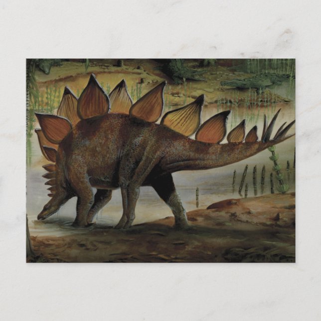 Vintage Dinosaurs, Stegosaurus, Svan med Spiken Vykort (Framsida)