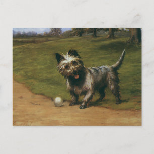 Vintage djur hundar, söt skotsk terrier valp vykort