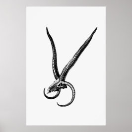 Vintage Djurskal Poster