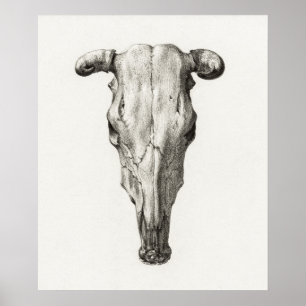 Vintage Djurskal Poster