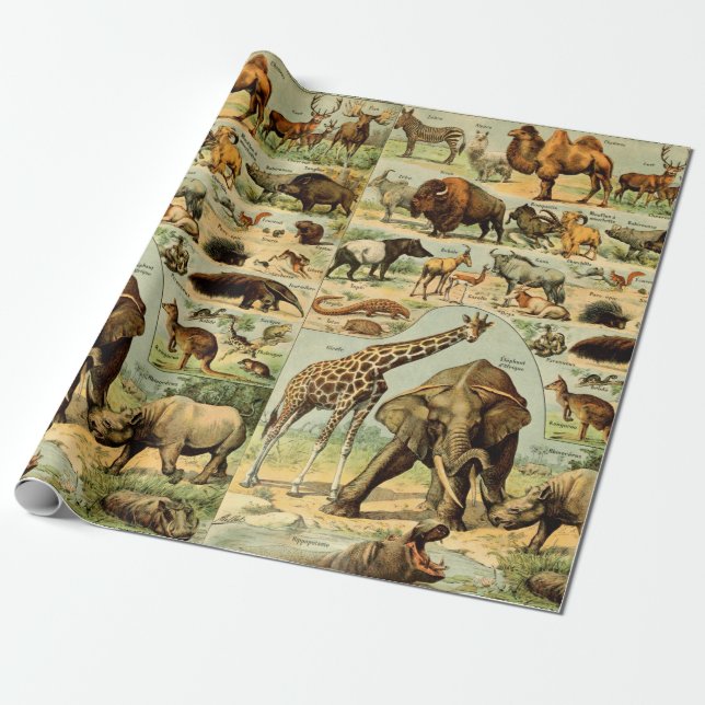 Vintage djurtryck afrikanskt vildliv presentpapper (Utrullad)