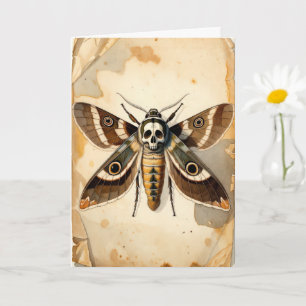 Vintage Dödskallefjäril Entomologi Konst Kort
