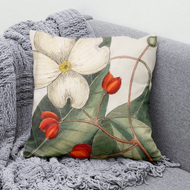Vintage Dogwood Träd Flower Illustration Kudde (Our Modern Vintage Dogwood Tree Flower Illustration Throw Pillow Adds a Splash of Color to Any Room!)