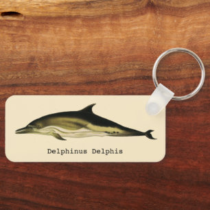 Vintage Dolphin Delphinus Delphis, Marine Mammals Nyckelring
