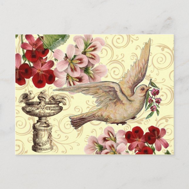Vintage Dove och fågelbad Vykort (Framsida)