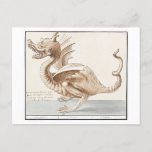 Vintage Dragon Illustration Vykort