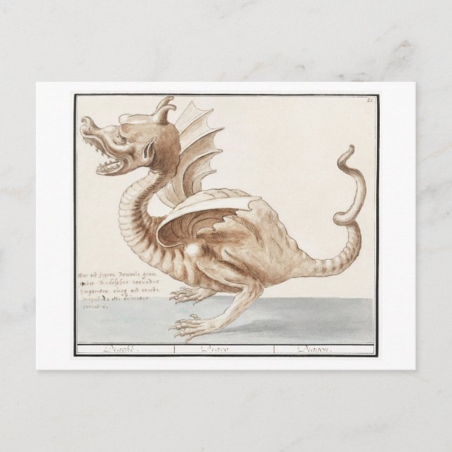 Vintage Dragon Illustration Vykort (Framsida)