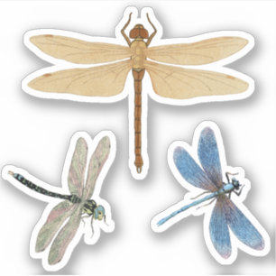 Vintage Dragonflies Klistermärken