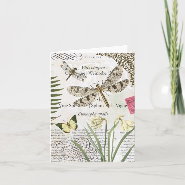 Vintage Dragonflies notecard Kort (Framsida)
