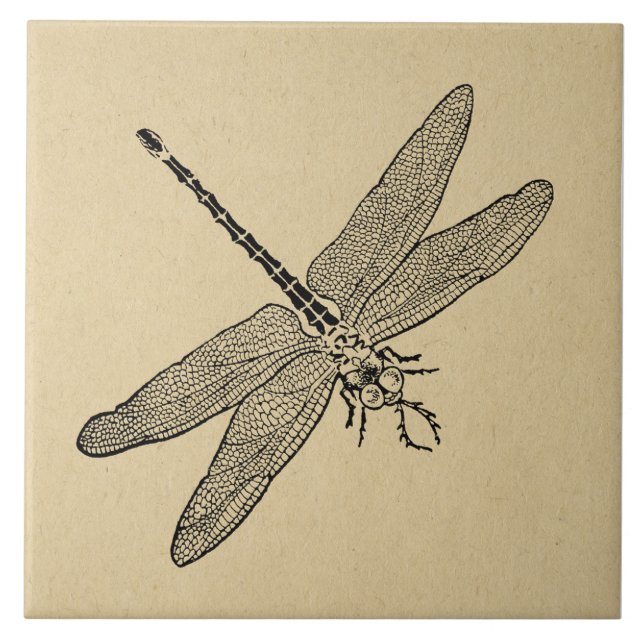 Vintage Dragonfly Art Kakelplatta (Framsidan)